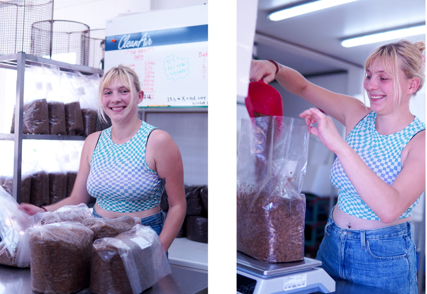 Six Months With Mushrooms: Neja's internship experience