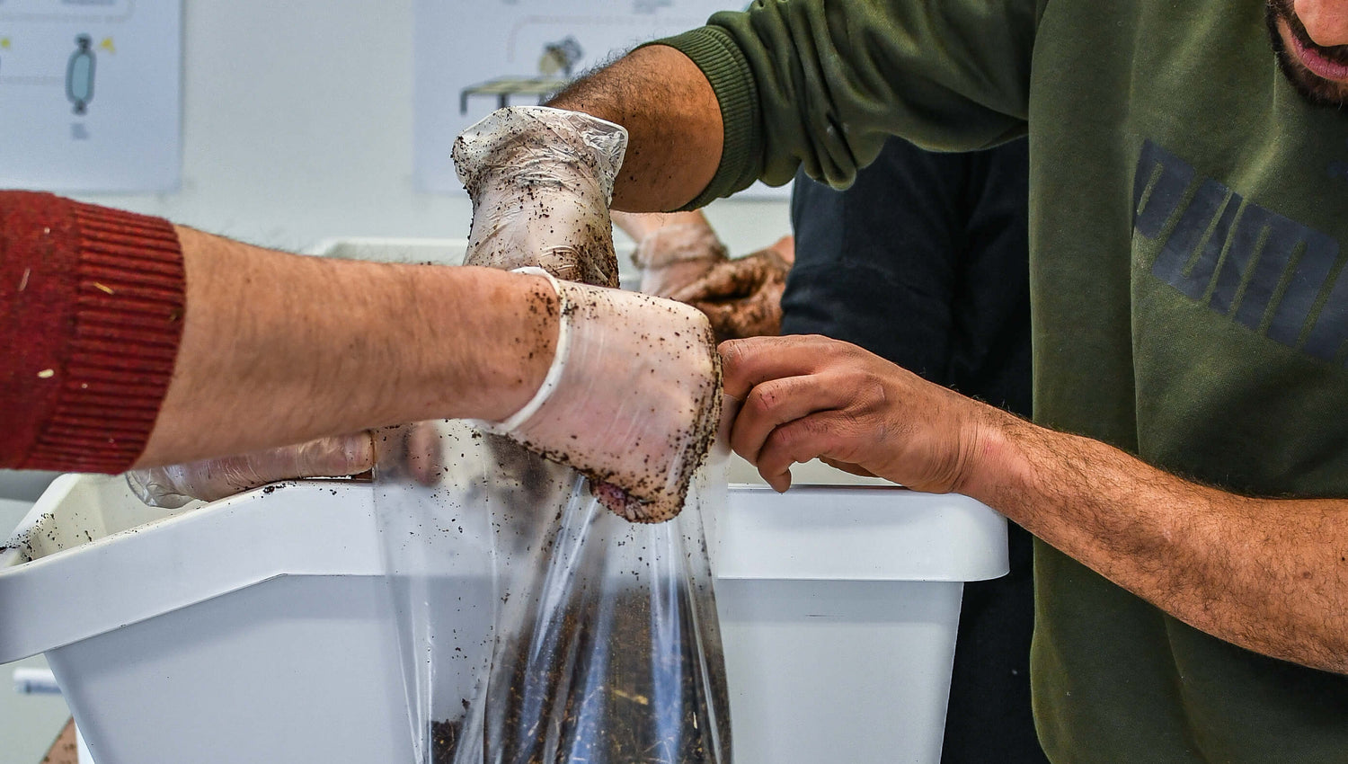 Wij delen ons paddenstoelen substraat recept
