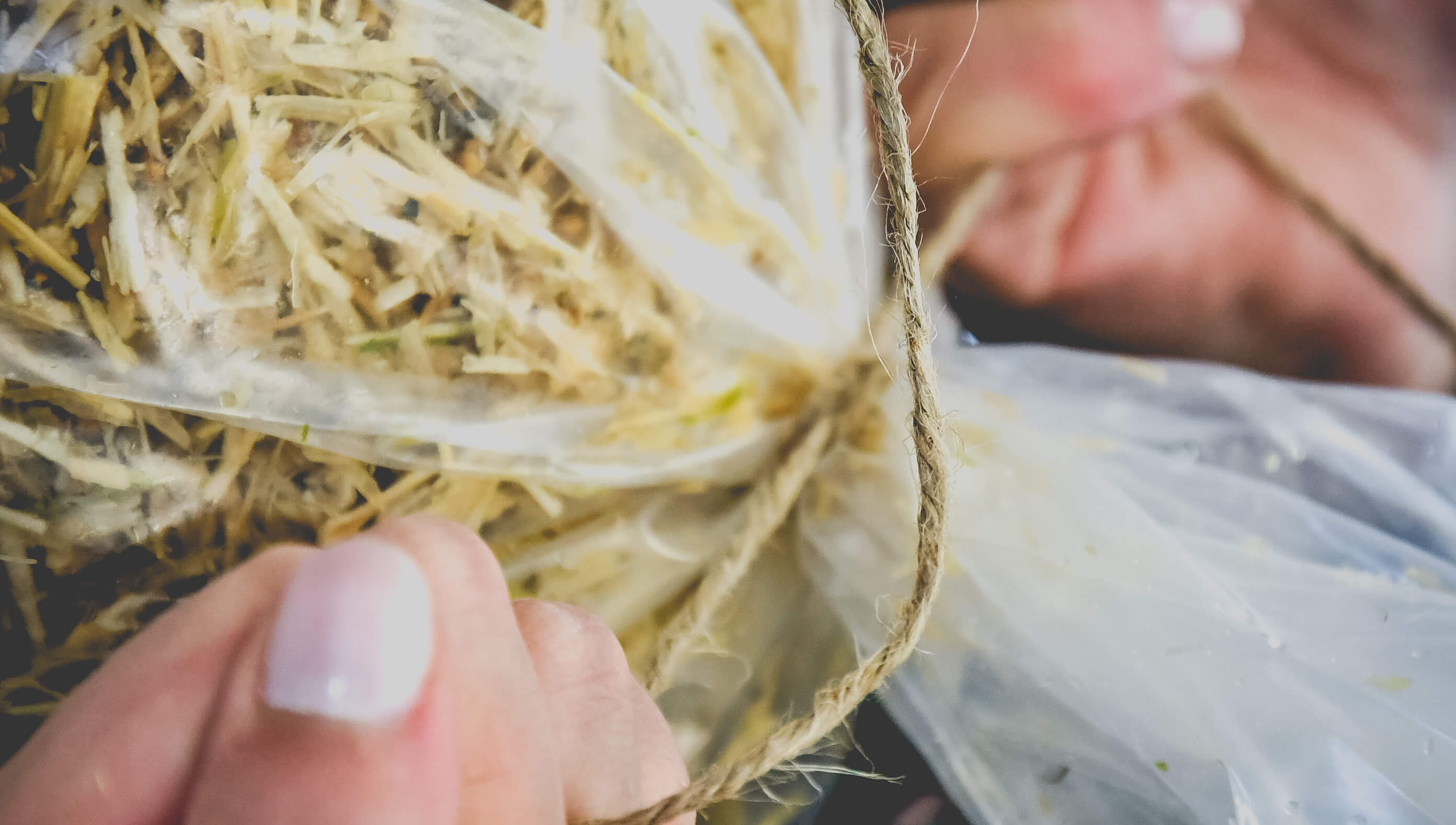 Online paddenstoelen leren kweken