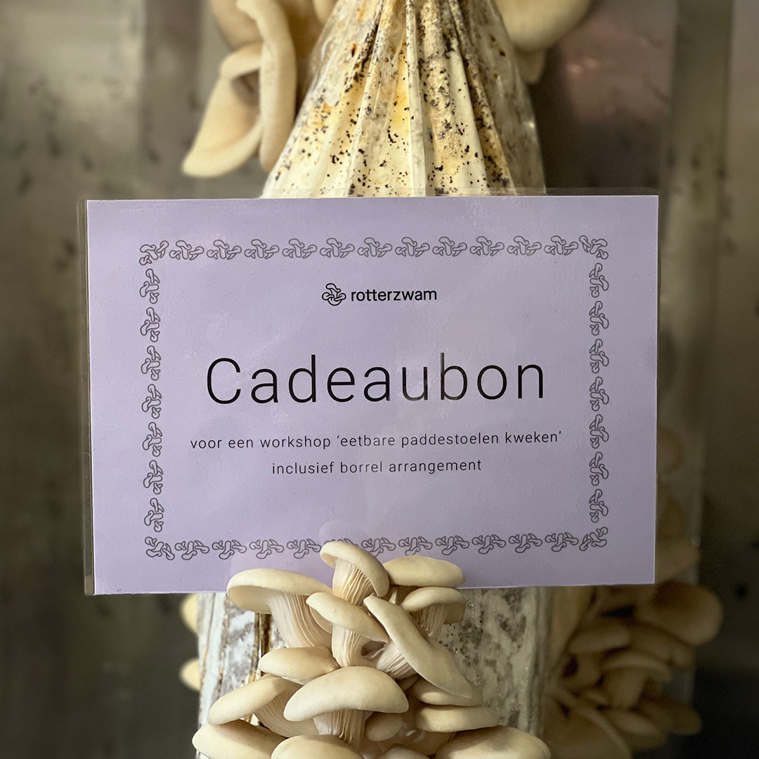 Cadeaubon Workshop Paddenstoelen Kweken