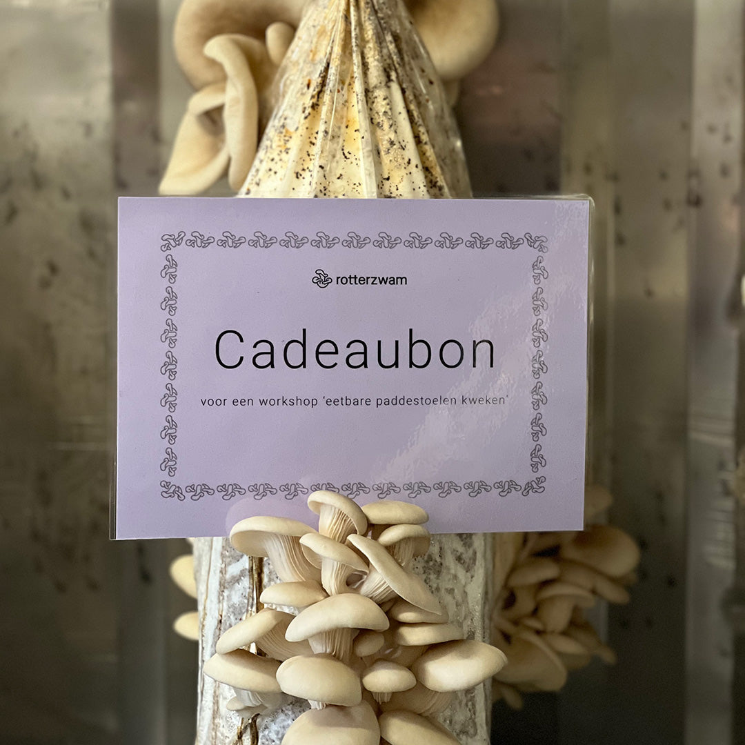 Cadeaubon Workshop Paddenstoelen Kweken
