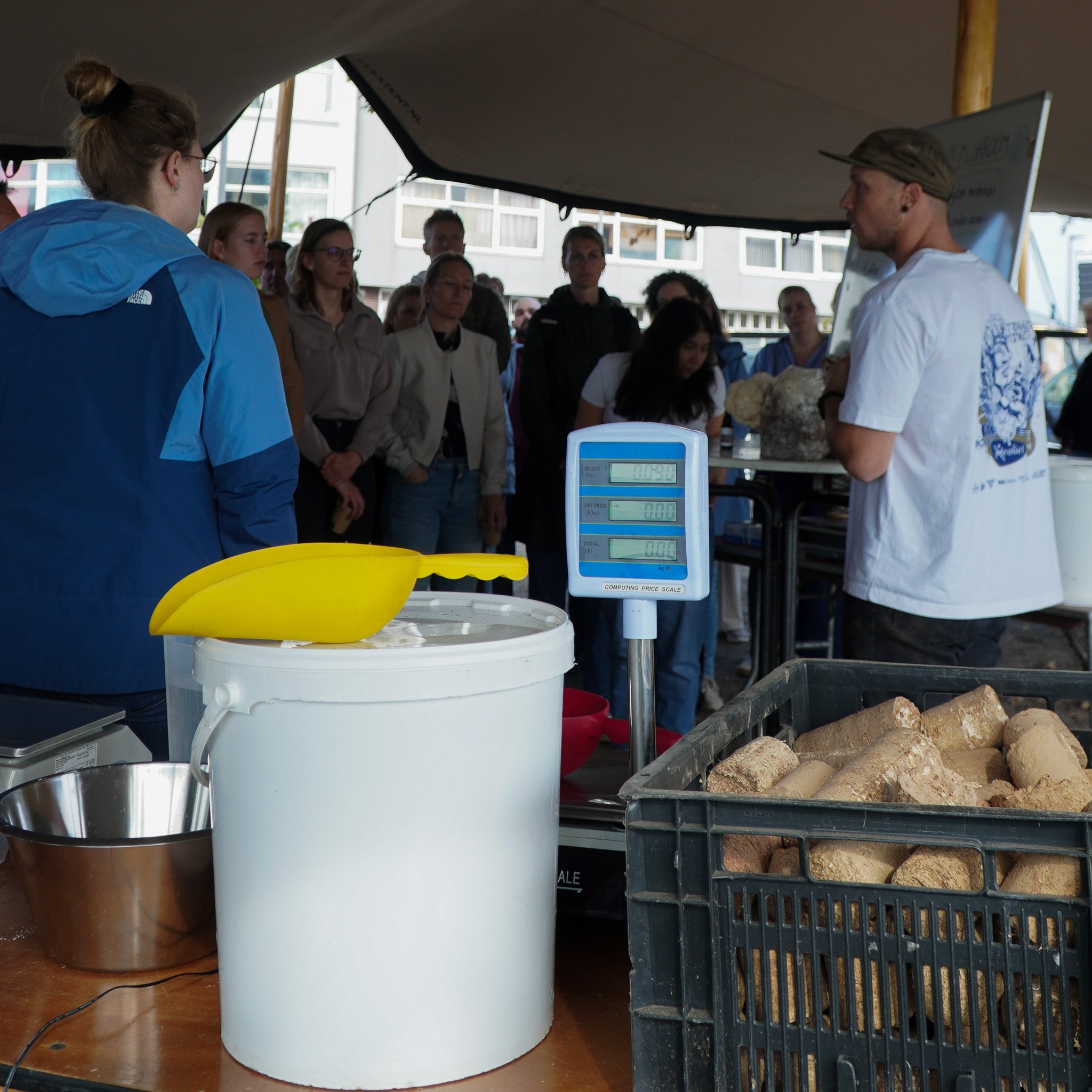 Workshop Oesterzwammen kweken