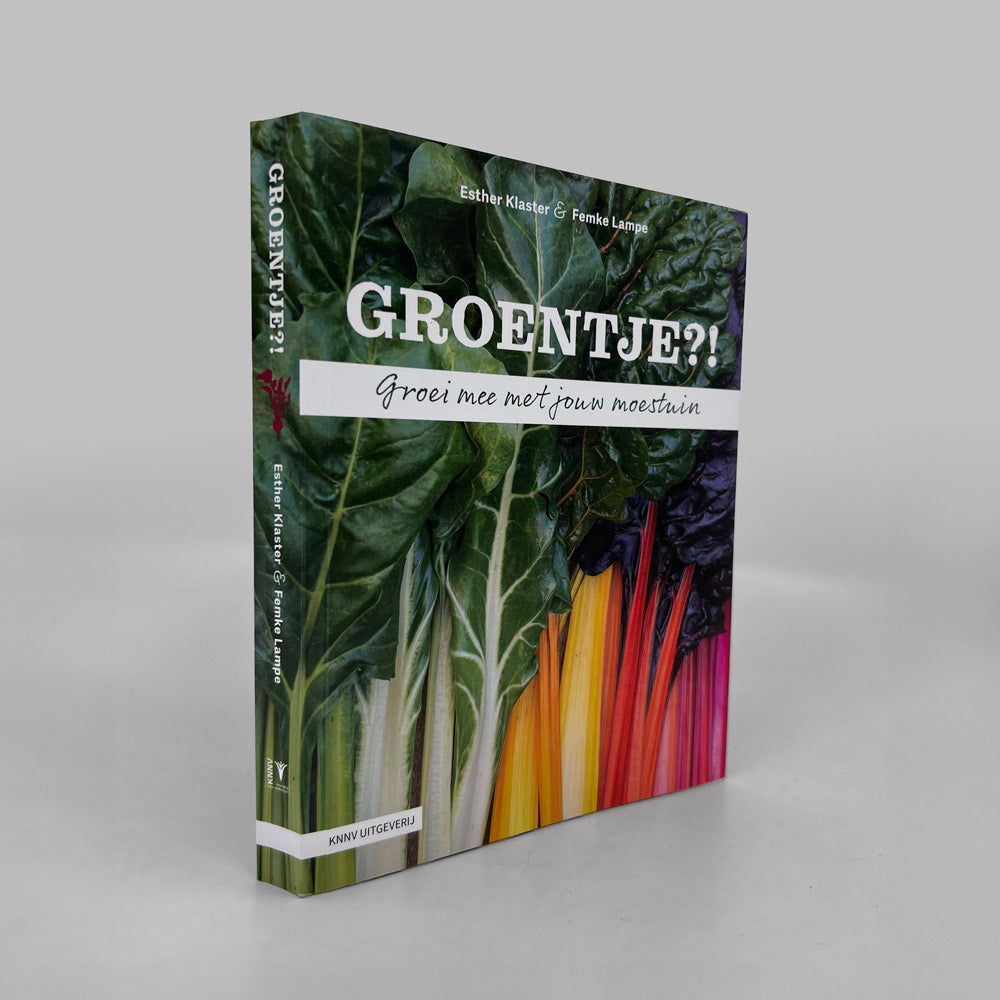 Sustainable Gift Package Vegetable Garden