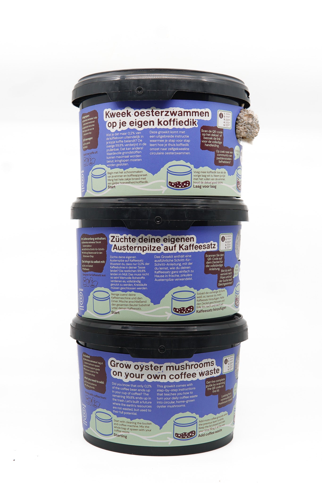 Mushroom grow kit oyster mushrooms