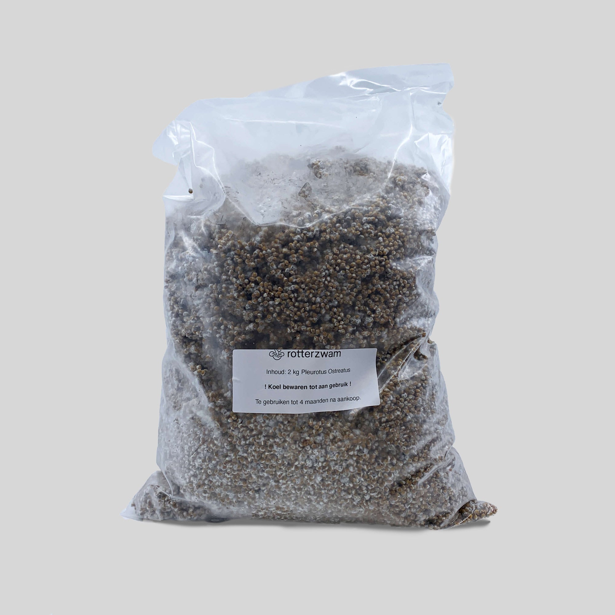 Oyster mushroom spawn